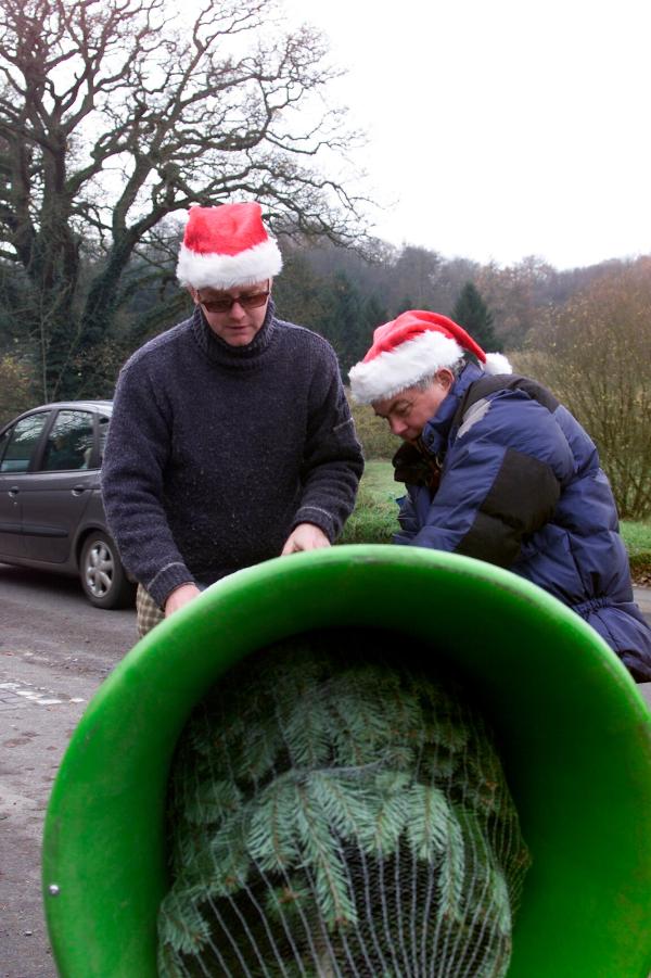 01/12/2001  Ever wondered what Chris Evans has been doing since being sacked by Virgin.  We can exclusively reveal that he has set up shop to sell Christmas trees outside his local public house in Hascombe