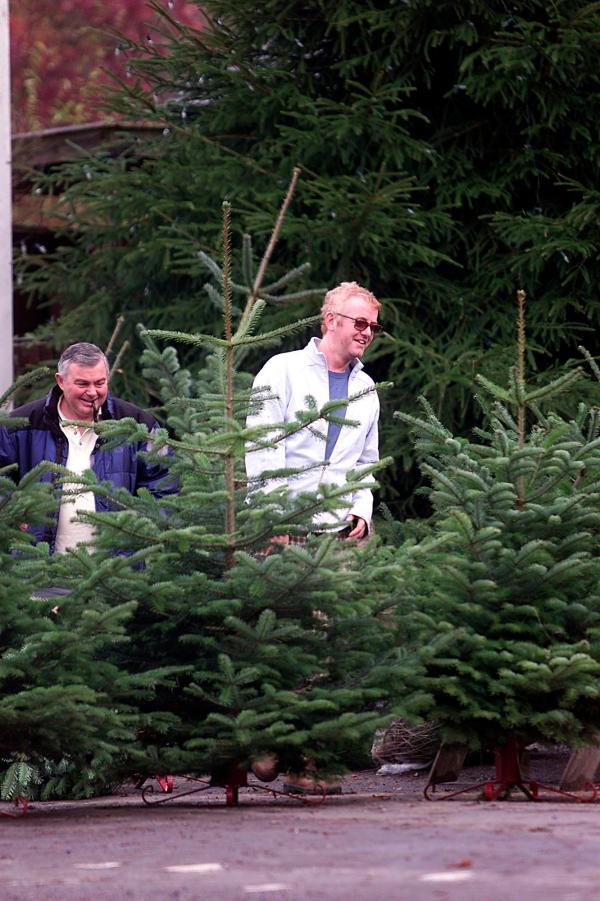 -Ever wondered what Chris Evans has been doing since being sacked by Virgin.  We can exclusively reveal that he has set up shop to sell Christmas trees outside his local public house in Hascombe