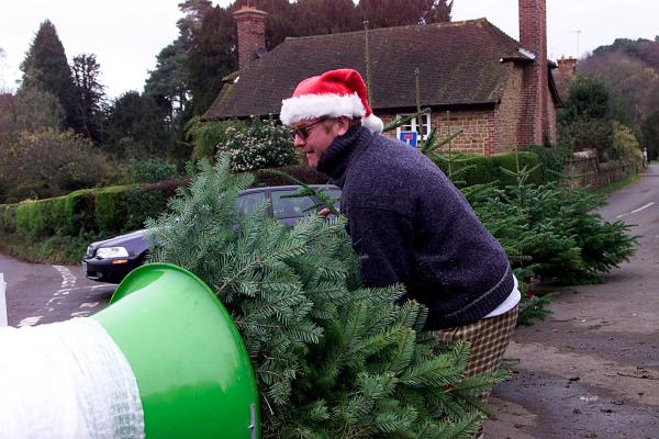 01/12/2001 -Ever wondered what Chris Evans has been doing since being sacked by Virgin.  We can exclusively reveal that he has set up shop to sell Christmas trees outside his local public house in Hascombe