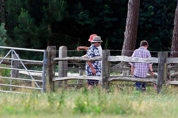 30/06/01 Chris Evans and Danny Baker return from walking Chris’ dogs in the grounds of Hascombe Court, Hascombe, Surrey