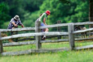 Chris Evans and Billie Gardening