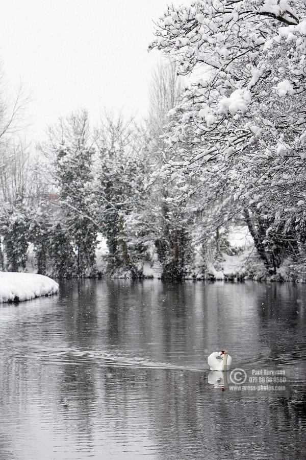 Snow Guildford PPUK012