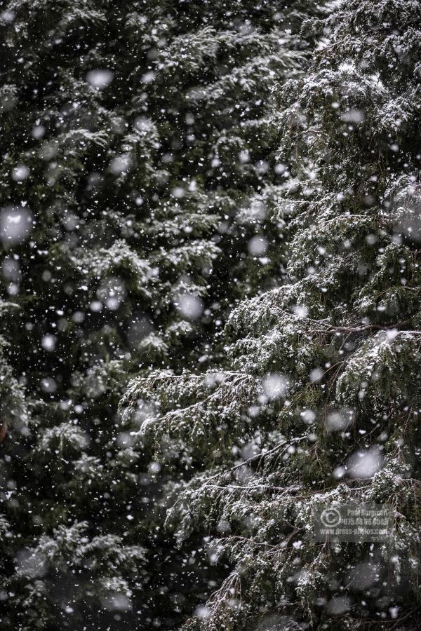 Guildford Snowfall 0001