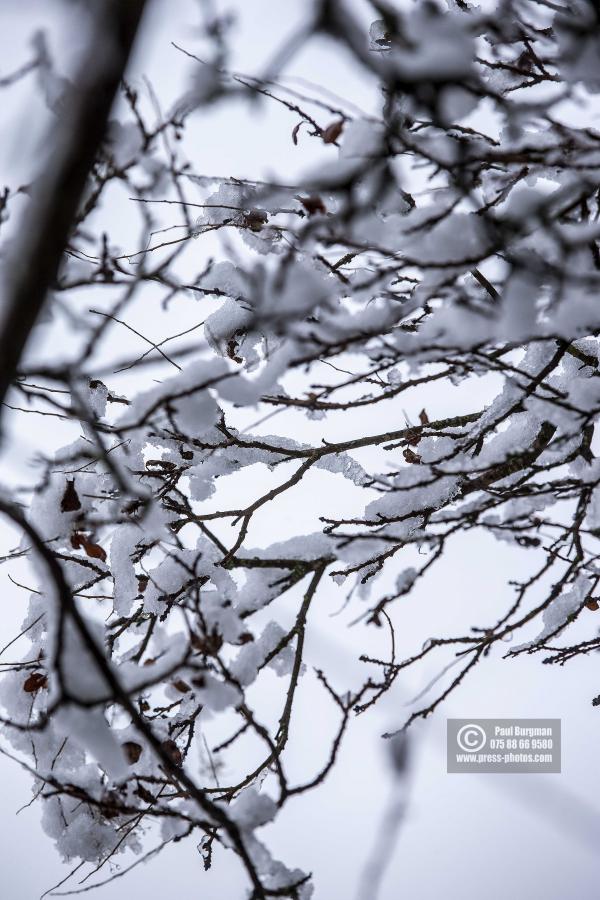 Guildford Snowfall 0013