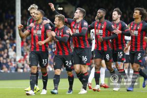 Fulham v Bournemouth