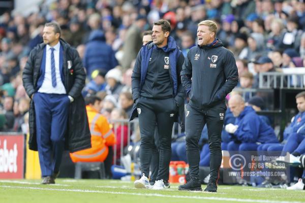 Fulham v Bournemouth 27/10/2018