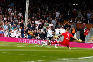 Fulham v Brentford 2017