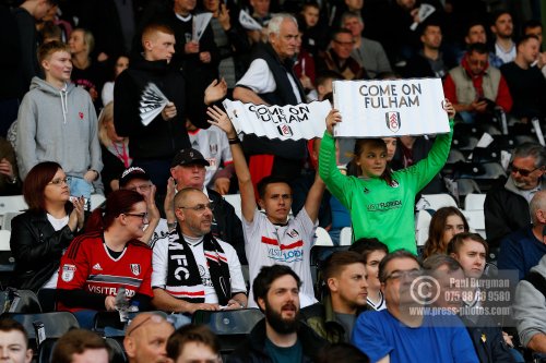 Fulham v Brentford 0107