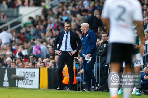 Fulham v Brentford 0213