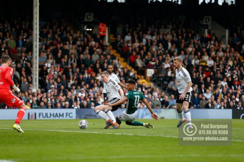 Fulham v Brentford 0232