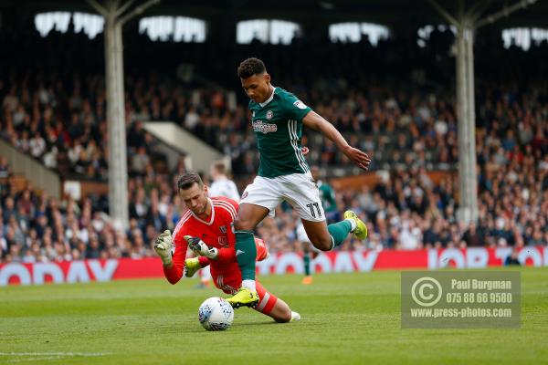 Fulham v Brentford 0245