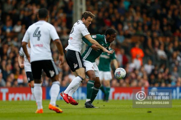 Fulham v Brentford 0254