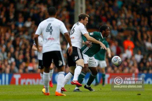 Fulham v Brentford 0256