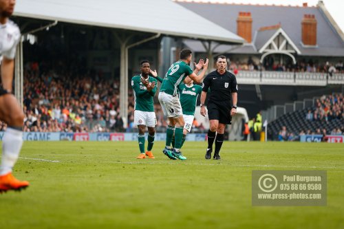 Fulham v Brentford 0432