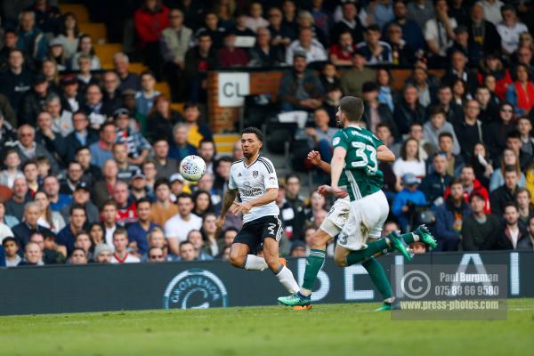 Fulham v Brentford 0582