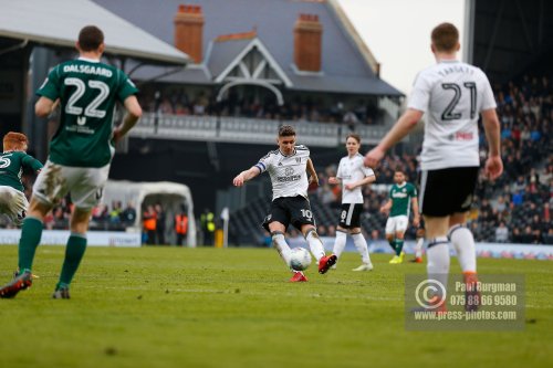 Fulham v Brentford 0807