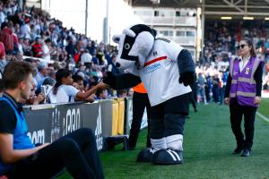 Fulham v Ipswich
