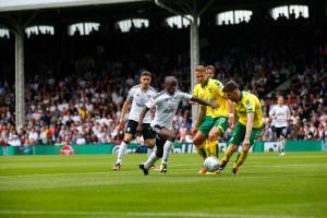 Fulham v Norwich