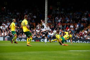 Fulham v Norwich