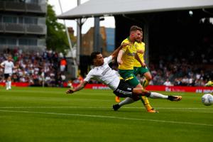 Fulham v Norwich