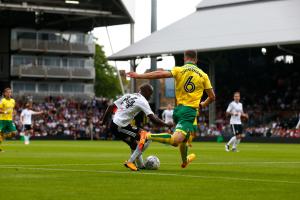 Fulham v Norwich