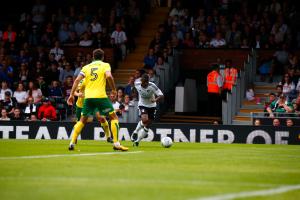 Fulham v Norwich