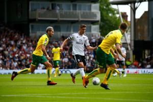 Fulham v Norwich