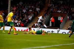 Fulham v Norwich