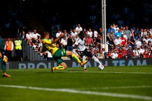 Fulham v Norwich