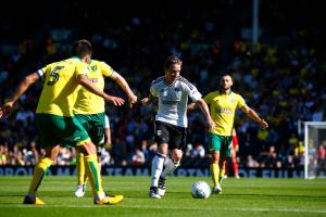 Fulham v Norwich