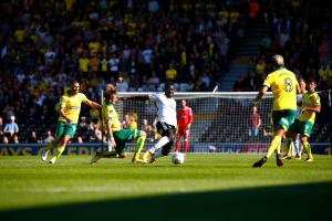 Fulham v Norwich