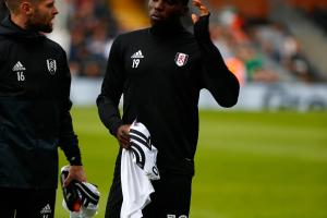 Fulham v Sheff Wednesday