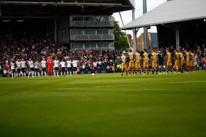 Fulham v Sheff Wednesday