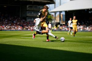 Fulham v Sheff Wednesday