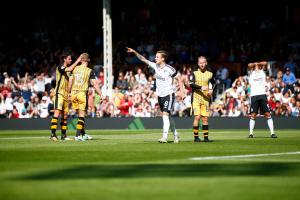 Fulham v Sheff Wednesday
