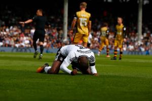 Fulham v Sheff Wednesday