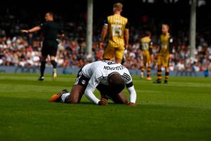 Fulham v Sheff Wednesday