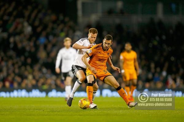 Fulham v Wolves 1001