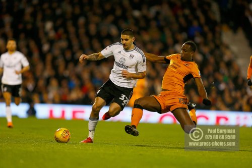 Fulham v Wolves 1004