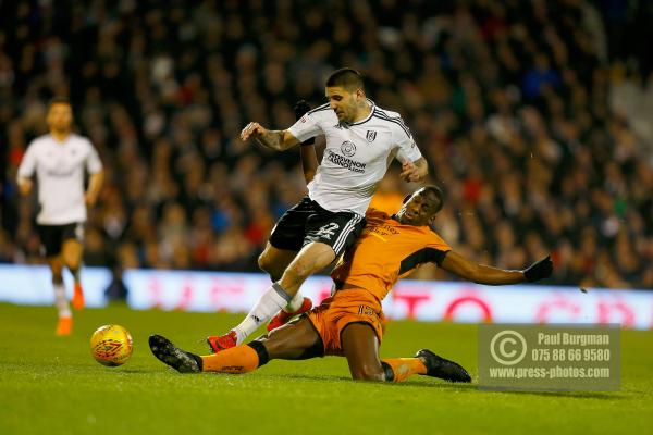 Fulham v Wolves 1005