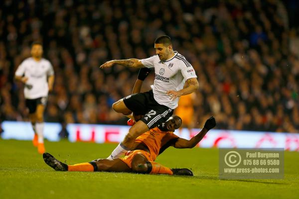 Fulham v Wolves 1006