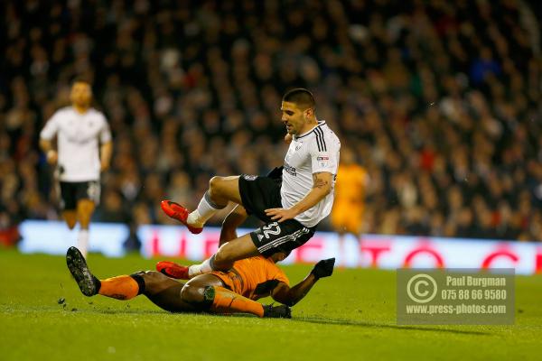 Fulham v Wolves 1007