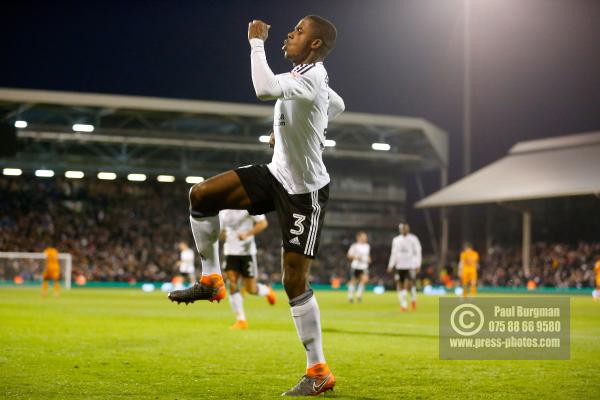 Fulham v Wolves 1009