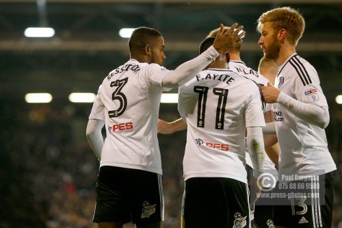 Fulham v Wolves 1013