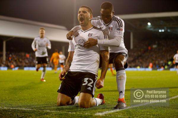 Fulham v Wolves 1029