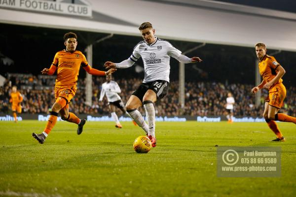 Fulham v Wolves 1033