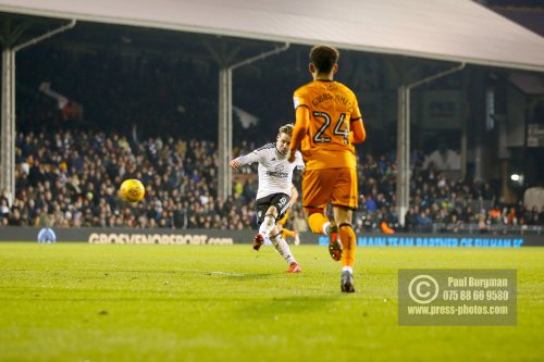 Fulham v Wolves 1034