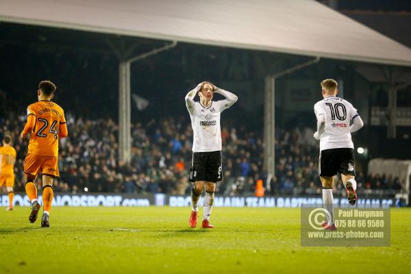 Fulham v Wolves 1035