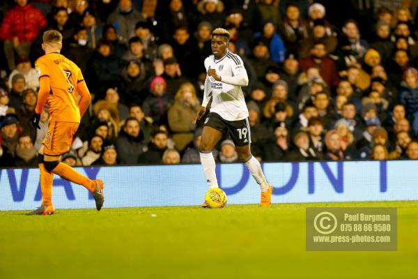 Fulham v Wolves 1036