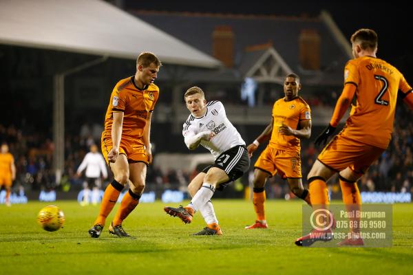 Fulham v Wolves 1037